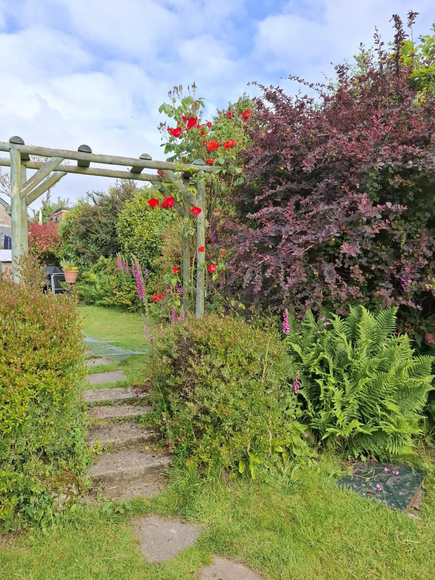 Cosy Cornish Cabin เซนต์ออสเทลล์ ภายนอก รูปภาพ