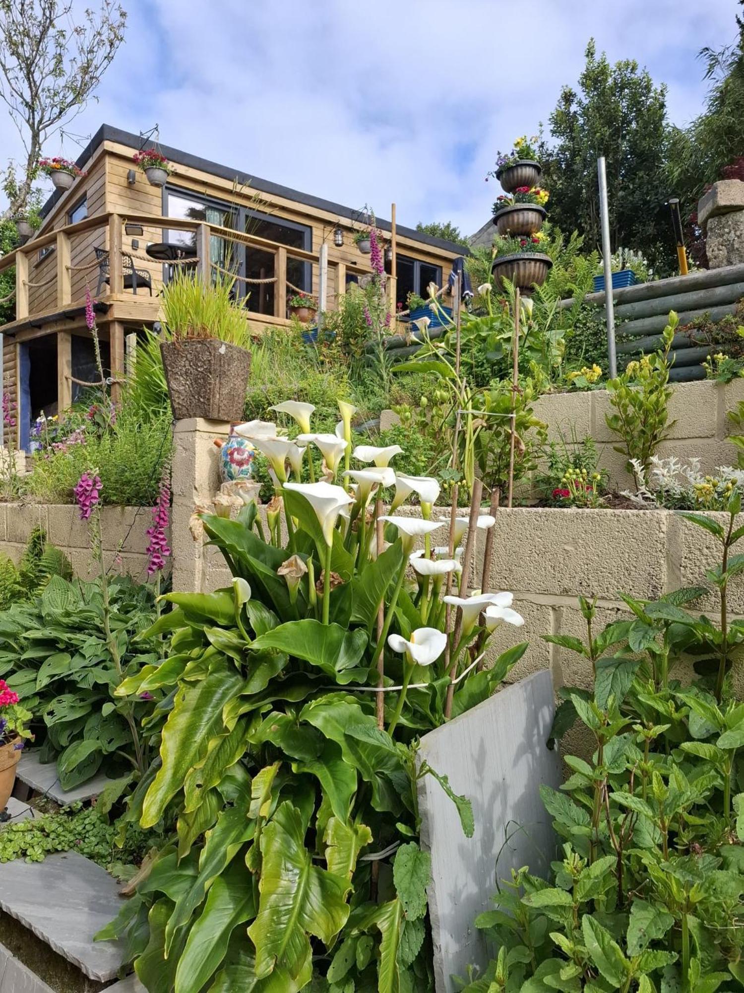 Cosy Cornish Cabin เซนต์ออสเทลล์ ภายนอก รูปภาพ