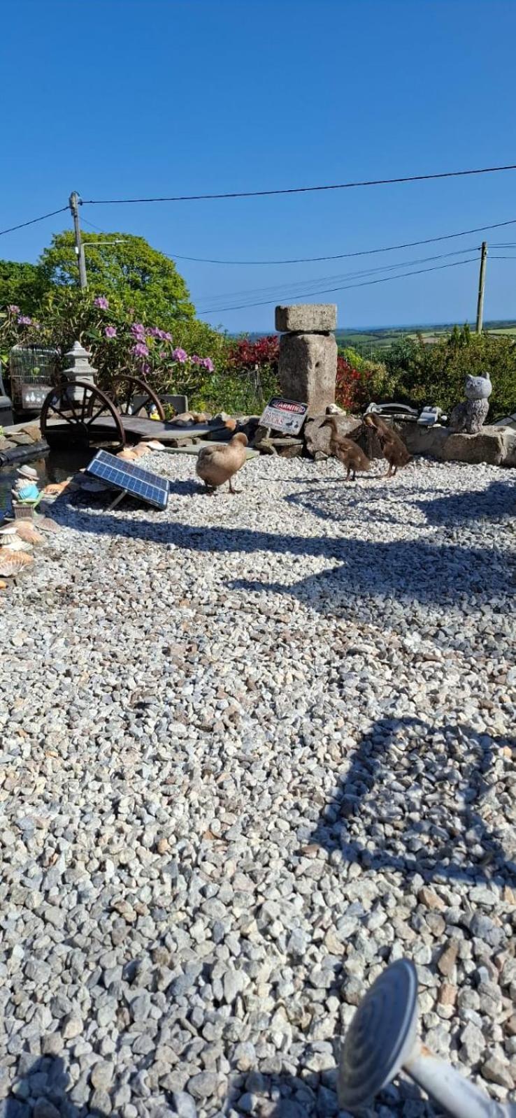 Cosy Cornish Cabin เซนต์ออสเทลล์ ภายนอก รูปภาพ